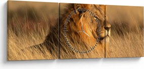 Kép - Etosha Nemzeti Park (órával) (90x30 cm)