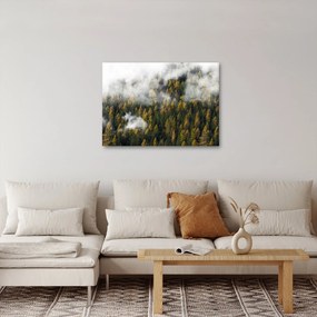 Egy erdő képe a felhők között (70x50 cm)