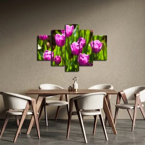 Tulipánok a réten képe (150x105 cm)