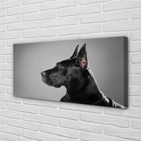 Canvas képek Fekete kutya 125x50 cm