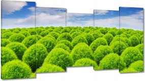 Vászonkép 150x80 Zöld tekintet Völgy