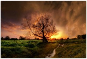 Poszterek 185x125 Tölgy a croissant-ban Nyugat