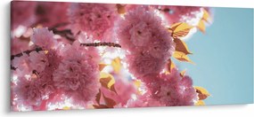 Kép - Cseresznyevirág (120x50 cm)