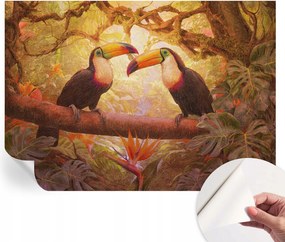 Öntapadós Dekoratív Fotótapéta Hálószobába Színes tukánok 208x146 cm