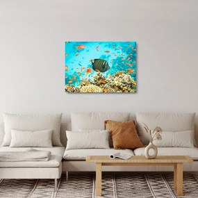 A víz alatti világ képe (üvegen) (70x50 cm)