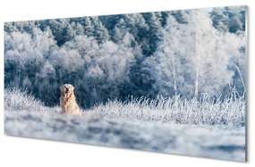 Akrilkép Winter mountain dog 100x50 cm
