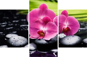 Kép - Rózsaszín orchidea pálmalevéllel (90x60 cm)