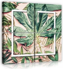 Vászonkép 50x50 Trópusi levelek botanika természet frissesség zöld egzotikus