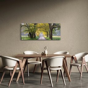 Kép - Smoky, hegység, Gatlinburg, USA (120x50 cm)