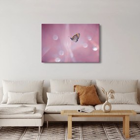 Kép - Pillangó (90x60 cm)