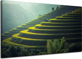 Vászonkép Természet Teraszok Mezőgazdaság 120x70 cm