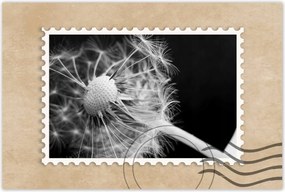 Poszterek 90x60 Pitypang Virág Virágok