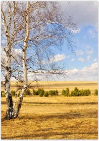 Poszterek 70x100 Nyírfa a mezőn Tájkép
