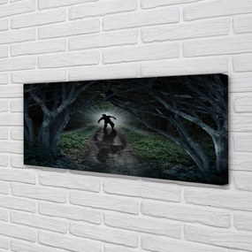 Canvas képek Sötét erdő fa forma 125x50 cm