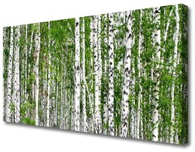 Vászonkép Nyírfa erdő Természetvédelmi 120x60 cm