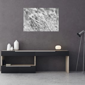 Kép - Havas ágak (90x60 cm)