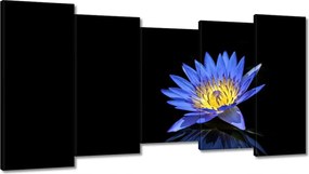 Vászonkép 150x80 Virágok