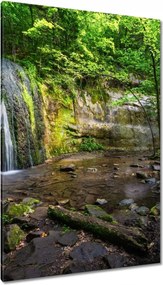 Vászonkép 80x120 Trópusi erdő vízesés