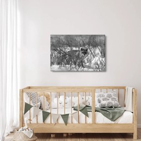 Kép - Róka télen (90x60 cm)