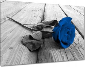 Vászonkép 100x70 Kék rózsa a deszkákon