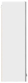Függő szekrény Riga Szürke Sonoma 30 x 31 x 100 cm Faanyag