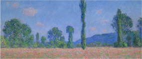 Kép - Claude Monet, Poppy Field (Giverny), reprodukciók (120x50 cm)