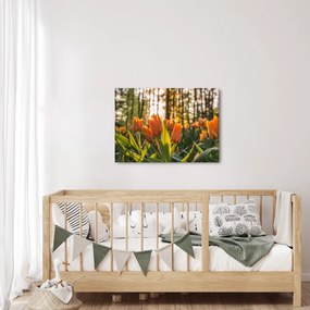 Kép - tulipánok (70x50 cm)
