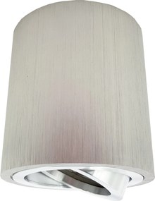 Falra Szerelhető mozgatható lámpatest GU10 Led Plafon Ezüst