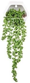 Műnövény, függő növény, kerámiában, 12,2 cm - REMPANTE
