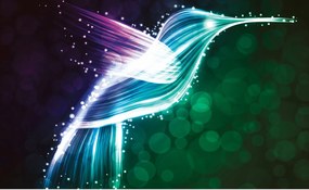 Fotótapéta Kolibri Neon Tánc Bokeh Fények 368x254 vinil +ragasztó