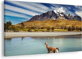 Kép - Torres del Paine Nemzeti Park (90x60 cm)