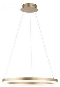 Paul Neuhaus 2382-60 - LED Dimmelhető csillár zsinóron TITUS LED/38,5W/230V