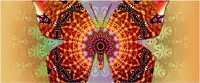 Kép - etno pillangó (120x50 cm)