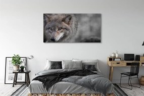 Canvas képek Farkas 125x50 cm