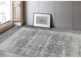 Szürke szőnyeg 160x230 cm Nova – Asiatic Carpets