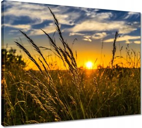 Vászonkép 50x40 Naplemente a fű között