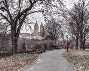 Poszter 50x40cm Ösvény a központi parkon át 2, Assaf Frank