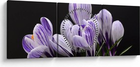 Kép - Lila krókuszok (órával) (90x30 cm)