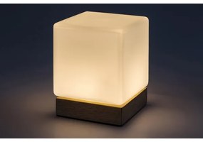 Rabalux 76003 - PIRIT LED asztali lámpa, 1,2W, 5V, 3000K, bükk