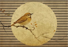 Dekoratív Fotótapéta Hálószoba Madár Harmónia 208x146 Ragasztó