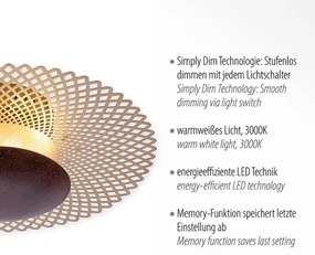Paul Neuhaus 6551-48 - LED Dimmelhető mennyezeti lámpa NEVIS LED/18W/230V