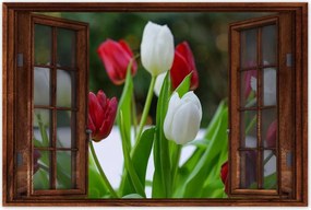 Poszterek 90x60 Tulipánok Virágok