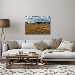 Betakarított gabona mező képe (70x50 cm)