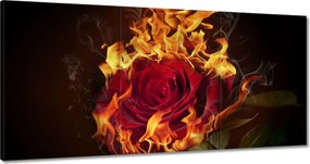 Vászonkép 60x30 Vörös lángoló rózsa
