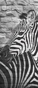 Zebra fotótapéta téglafalon fekete-fehér tégla 91x211 +ragasztó