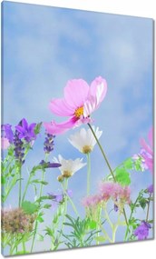 Vászonkép 70x100 Finom virágok