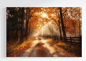 Vászonkép Canvas Tájkép Ősz Erdő Út Nap 120x80