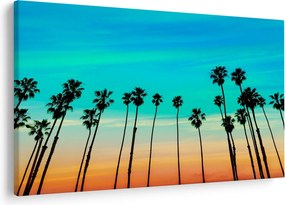 Kép - Kalifornia (90x60 cm)