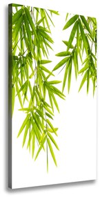 Egyedi vászonkép Bambusz levelek ocv-81471407