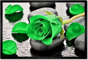 Poszter keretben 60x40 Zöld rózsa kövek